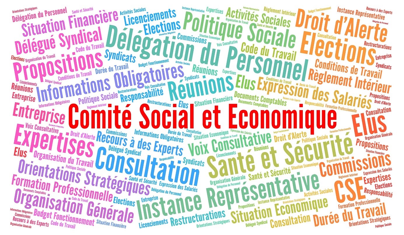 Le CSE comité social économique CFTC Castorama